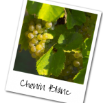 chenin