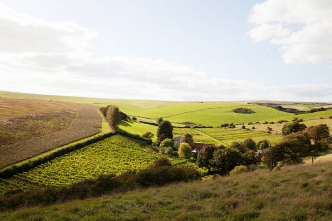 Ízlelgessük: kér egy pohár Sussex-et?
